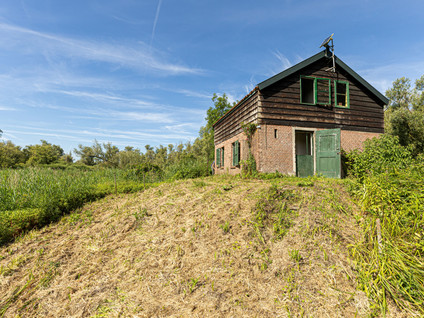 Biesbosch 18