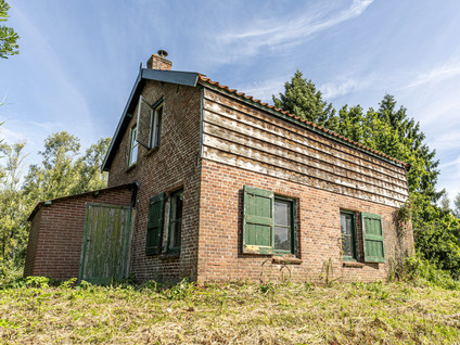 Biesbosch 18