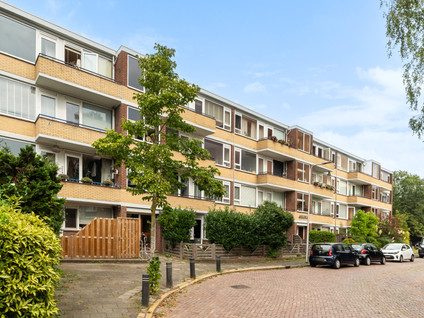Angelenhorst 19B