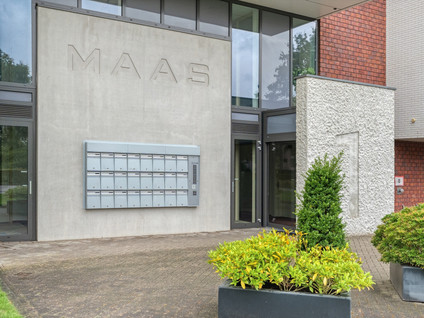 Maas 25