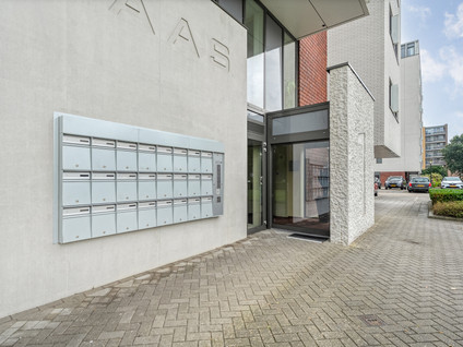 Maas 25