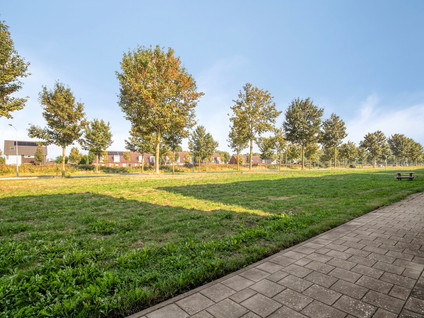 Berkenpad 19