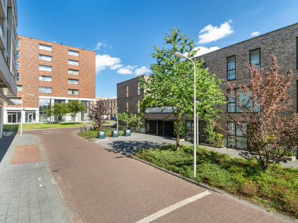 Van Geenstraat 21