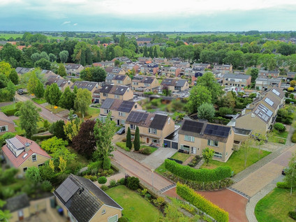 Groene Zoom 7