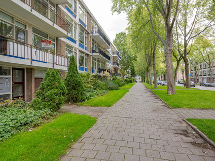Schoonegge 317