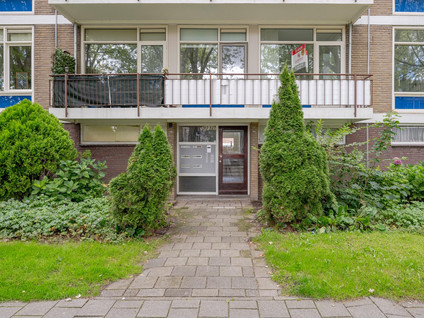 Schoonegge 317