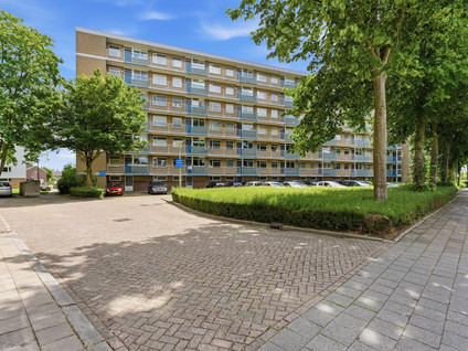 van Godewijckstraat 237