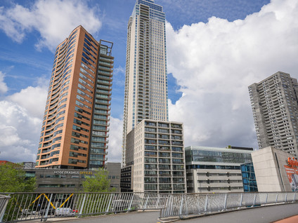 Houtlaan 239