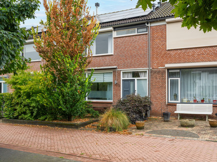 Steurstraat 3