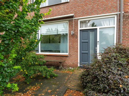 Steurstraat 3