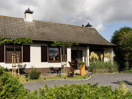 de Vlaanders 6