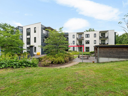 Ridderhof 7