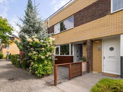 Koolzaadveld 7