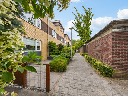 Koolzaadveld 7