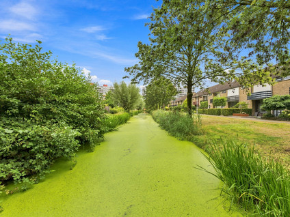 A. Anemastraat 12