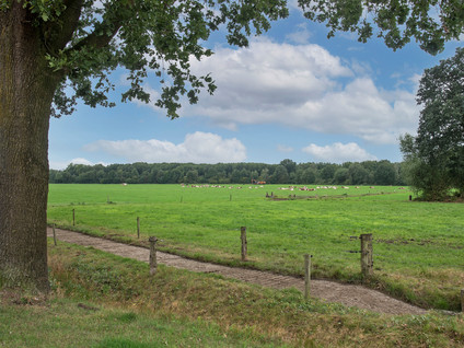 Haarlefertsweg 13