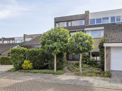 Omloop 10