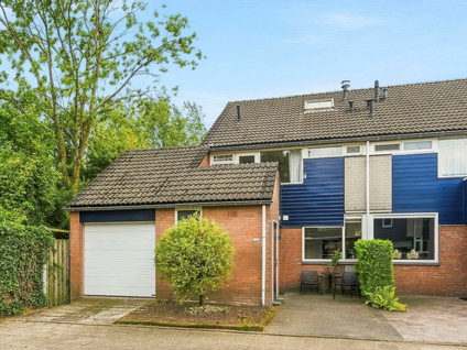 Lieshoutstraat 113
