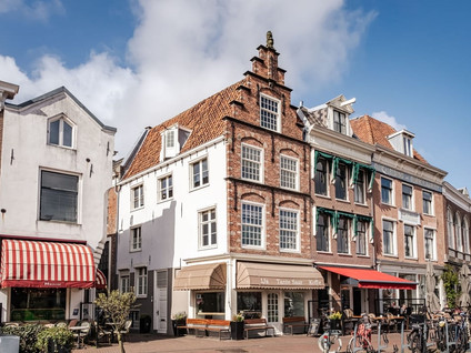 free-sector-houses for rent on Spaarne 42