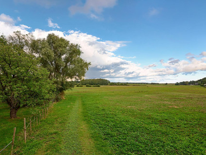 Heidijk 51
