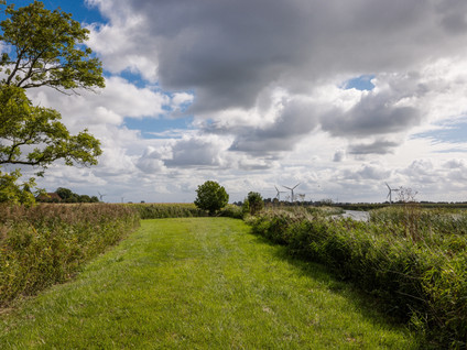 Papiermolenstreek 1