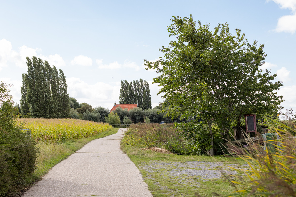 Vrijstaande woning te koop: Papiermolenstreek 1, Makkum