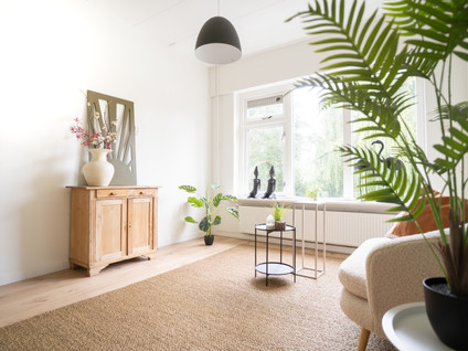 Adriaan van Ostadestraat 125