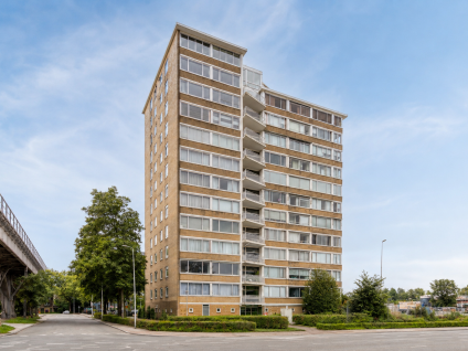 Meander 85