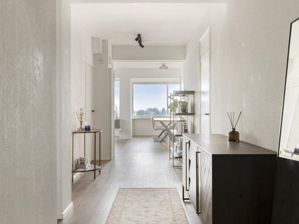 Meander 85