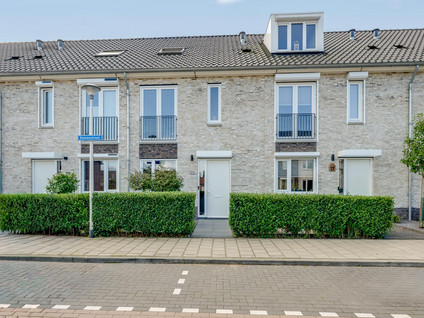 Dassenstraat 19