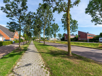 Meander 11