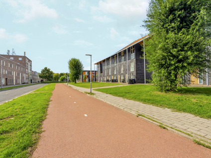 Grootzeil 8