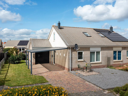 Scholekster 23