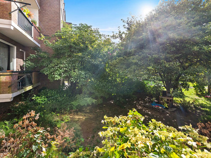 Van Alkemadestraat 14