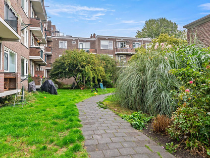 Van Alkemadestraat 14
