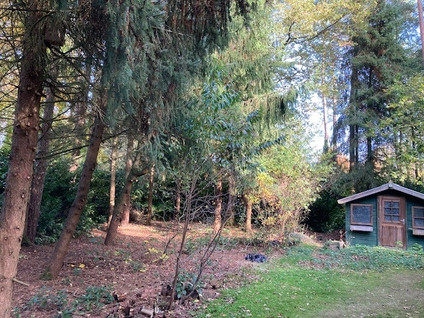 Drieërweg 124 95