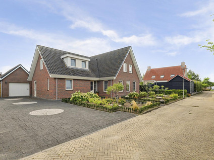 Teunisbloem 2