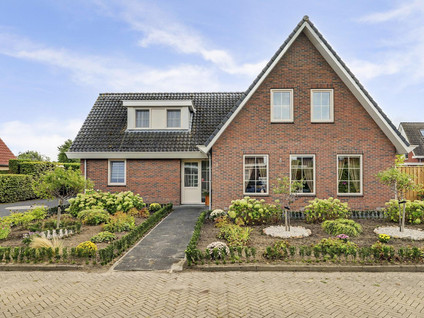 Teunisbloem 2