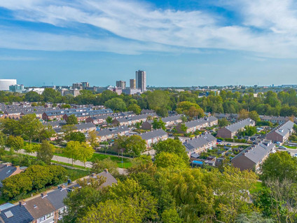 Andoorn 5