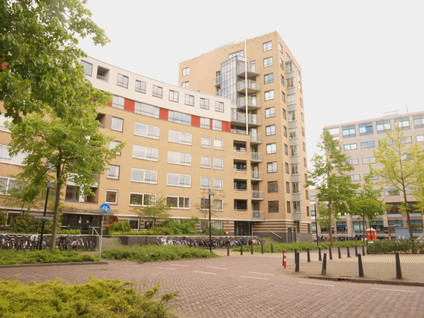 homes for rent on Henriëtte Roland Holststraat 116