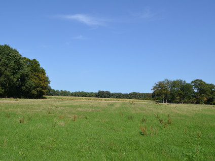 Oude Zutphenseweg 