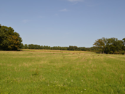 Oude Zutphenseweg 