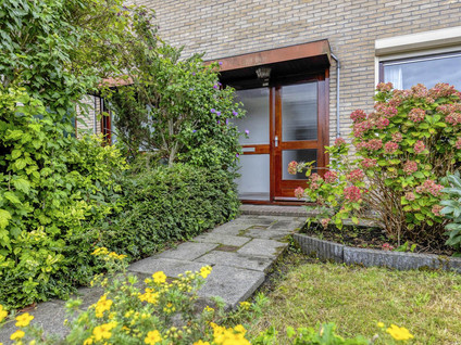 Werckendetstraat 6