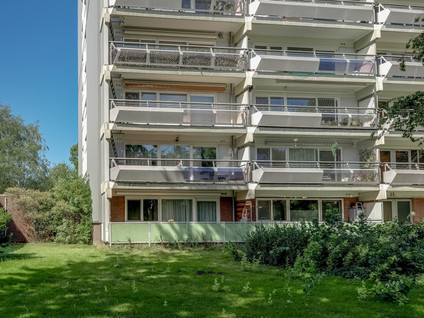 De Roerdomp 101