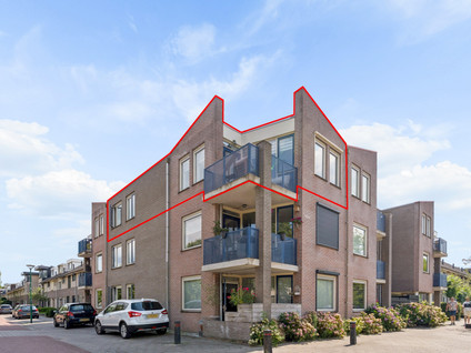 Kaardenbol 56
