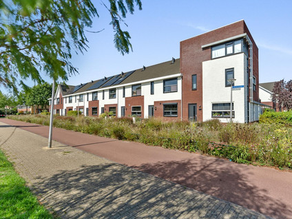 Heidevlinder 48