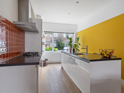 Hermannus Elconiusstraat 84