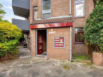 Q.A. Nederpelstraat 236