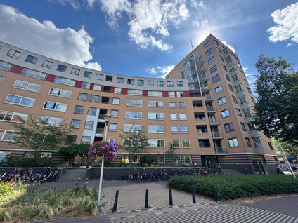 apartments for rent on Henriëtte Roland Holststraat 66