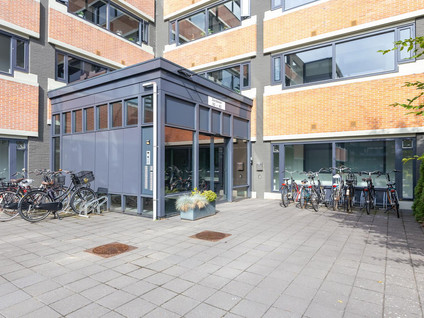 Zandsteen 78